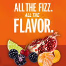 IZZE Sparkling Juice Beverage Blend, Variety Pack, No Sugar Added, 8.4 FL OZ, 24 Cans