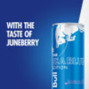 Red Bull Sea Blue Edition Energy Drink, 12 fl. oz., 6 Packs of 4 Cans, 114mg Caffeine