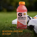 Gatorade Gatorlyte Rapid Rehydration Electrolyte Beverage, Variety Pack, 20 fl oz, 12 Count Bottles