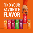 IZZE Sparkling Juice Beverage Blend, Variety Pack, No Sugar Added, 8.4 FL OZ, 24 Cans