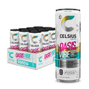 CELSIUS Sparkling Oasis Vibe, Functional Energy Drink 12 fl oz Can (Pack of 12)