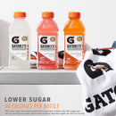 (12 pack) Gatorlyte Rapid Rehydration Electrolyte Drink, Mixed Berry, 20 fl oz, 1 Count Bottle​