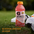 Gatorlyte Rapid Rehydration Electrolyte Beverage, 3 Flavor Variety Pack, 20 fl oz (Pack of 12)