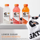 Gatorlyte Rapid Rehydration Electrolyte Beverage, 3 Flavor Variety Pack, 20 fl oz (Pack of 12)